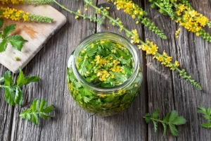 Preparation of herbal tincture from fresh agrimony flowers